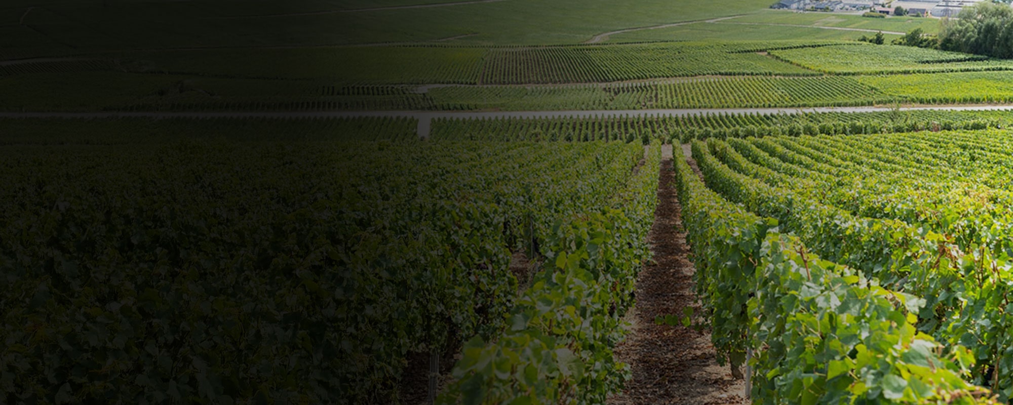 SPACE 2025: Components for Agriculture